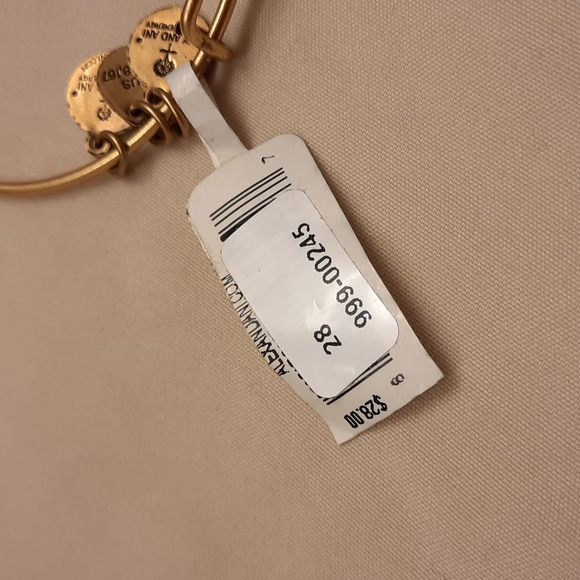 Alex and Ani Initial H Bracelet - Picture 8 of 8